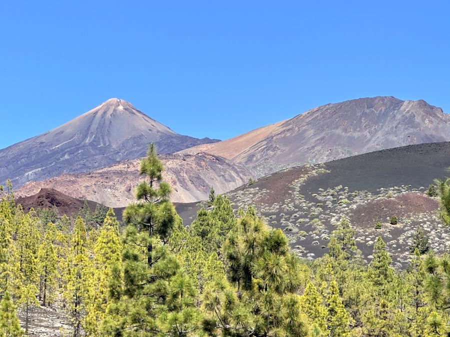 Вулкан Тейде — день 2 туру Тенеріфе