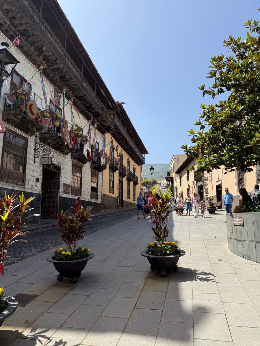 Знайомство з островом — день 1 туру Тенеріфе