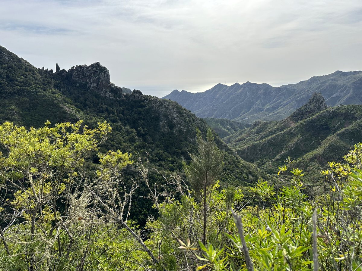 Тенеріфе — пейзажі острова