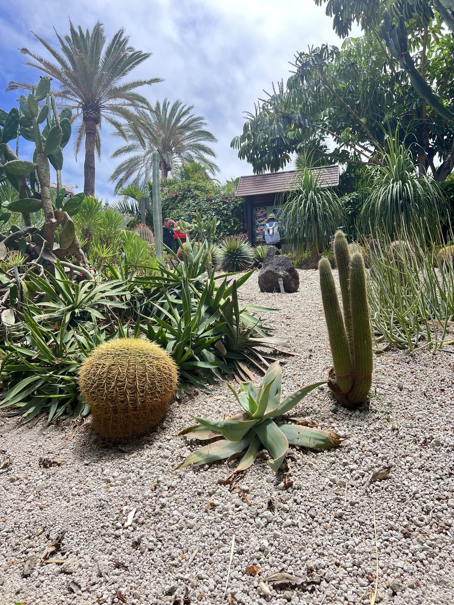 Тенеріфе — пейзажі острова
