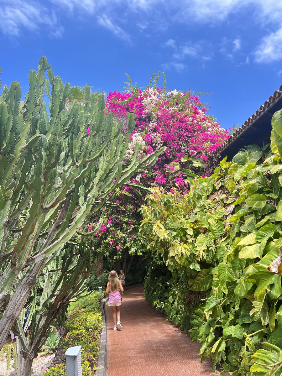 Тенеріфе — пейзажі острова